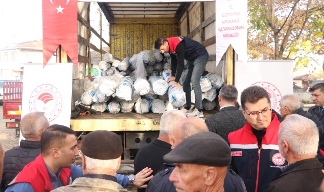 Üreticilere seralarını yenileyebilmeleri için devlet desteği
