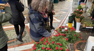 Yılbaşı çiçeği kokinaya rağbet