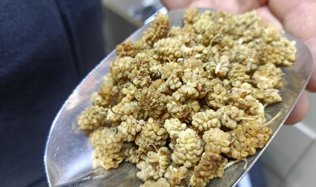 Doğal şifa arayanların yeni gözdesi