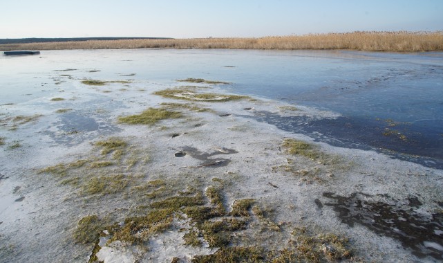 Göl Baba sulak alanı buz tuttu