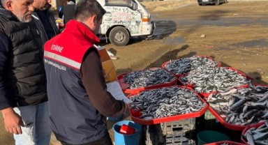 İl Tarım ve Orman Müdürlüğü ekipleri saha denetimlerine devam ediyor