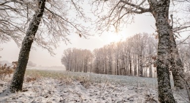 Istranca Ormanlarından kartpostallık görüntüler