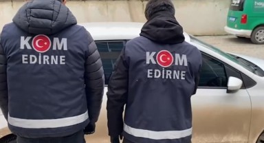 Kapıkule Sınır Kapısı’nda kaçak sanat eseri operasyonu