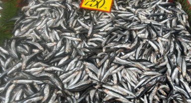 Soğuk hava balık tezgâhlarını hareketlendirdi