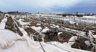 TARSİM’den üreticiye büyük destek: 2026 sigorta şartları belli oldu