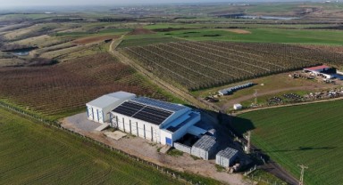 Tesis, elektriğinin yüzde 80’ini güneşten sağlıyor