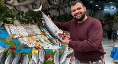 Torik bolluğu tezgahları şenlendirdi