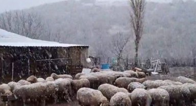 Yılın ilk kar yağışı Hamzabeyli’de gerçekleşti