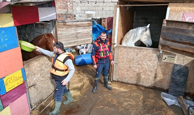 AFAD koordinesinde arama kurtarma ekipleri taşkın sahasında aktif görev aldı
