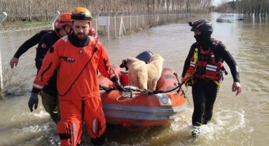 AFAD koordinesinde arama kurtarma ekipleri taşkın sahasında aktif görev aldı