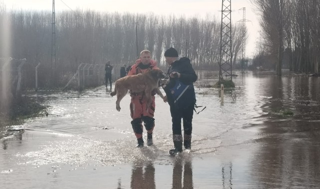 Bosnaköy yolunda taşkın alarmı: Hayvanlar botlarla kurtarıldı