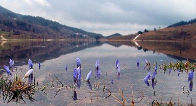 Cemreler ısıtmaya devam ediyor: sırada toprak var