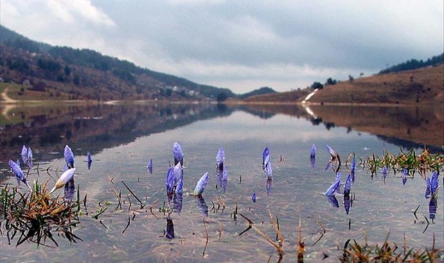 Cemreler ısıtmaya devam ediyor: sırada toprak var