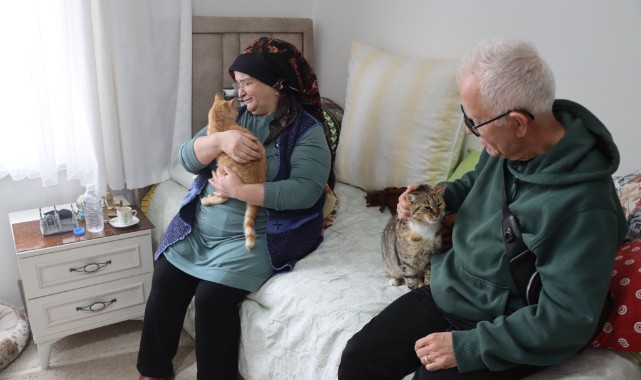 Doktor önerisiyle başlayan kedi sevgisi 40 kedilik yuvaya dönüştü