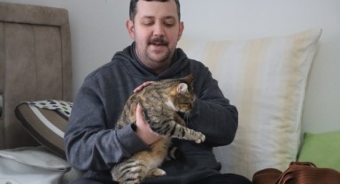 Doktor önerisiyle başlayan kedi sevgisi 40 kedilik yuvaya dönüştü