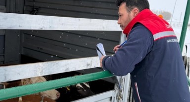 Edirneli Veteriner Hekimler Erzurum’daki denetimlere katıldı