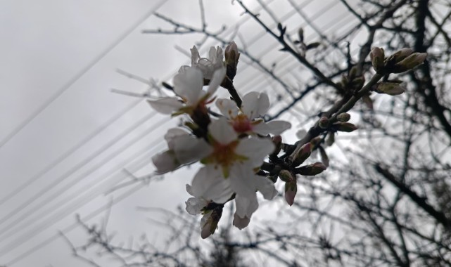 Erken bahar: üretici hem umutlu hem tedirgin