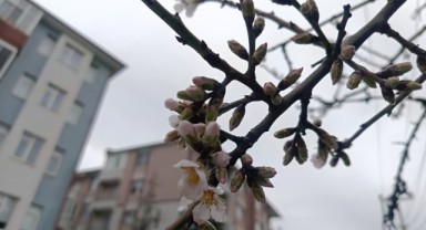 Erken bahar: üretici hem umutlu hem tedirgin