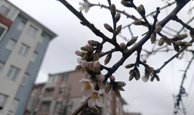 Erken bahar: üretici hem umutlu hem tedirgin