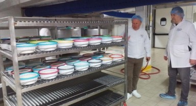 Gıda işletmeleri ve zincir marketlere denetim