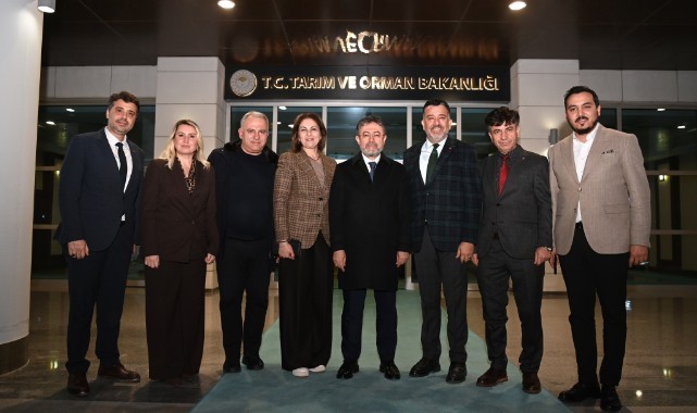 İba,