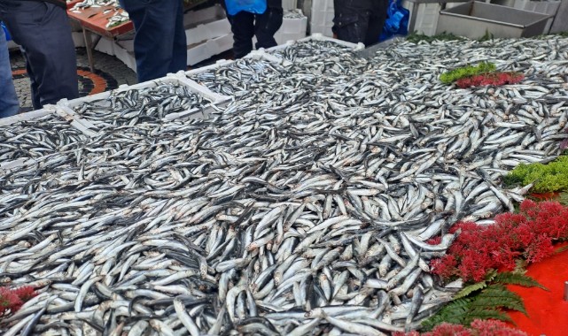 İftar sofralarına uygun fiyatlı balık