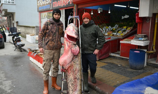 Meriç Nehri'nde 102 kilogramlık yayın balığı yakalandı