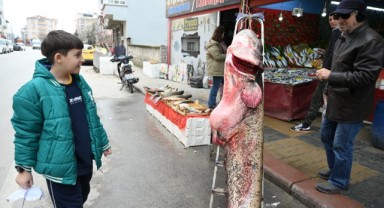 Meriç Nehri'nde 102 kilogramlık yayın balığı yakalandı