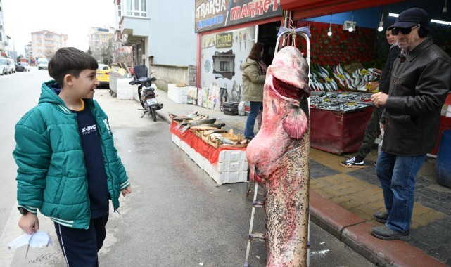 Meriç Nehri'nde 102 kilogramlık yayın balığı yakalandı
