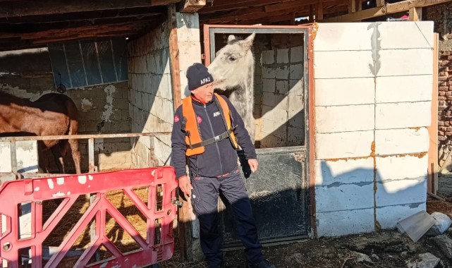 Nehirler taştı, ekipler seferber oldu