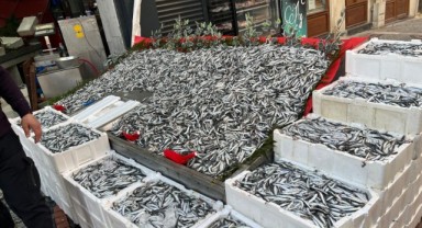 Ramazan bereketiyle geldi, hamsi bolluğu tezgahları şenlendirdi