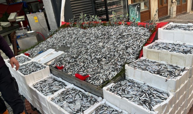 Ramazan bereketiyle geldi, hamsi bolluğu tezgahları şenlendirdi