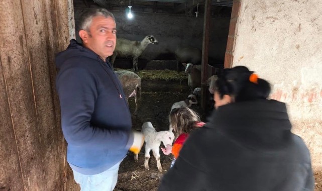 Tarım Müdürlüğü’nden hayvancılık desteklemelerine yakın takip