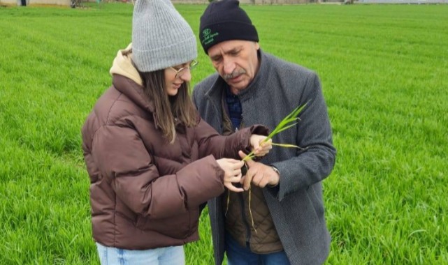 Traktörle tarlaya girmek riskli! Ziraat Odası uyardı