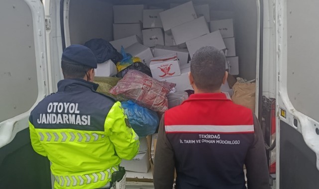 2 ton sağlıksız Antep fıstığı imha edildi