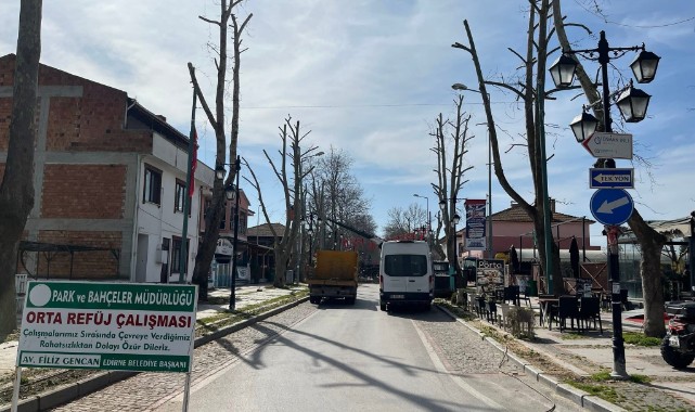 Agâh Korkan’dan budama tepkisi: “Karaağaç’ın çınarları bu şekilde budanmamalı”