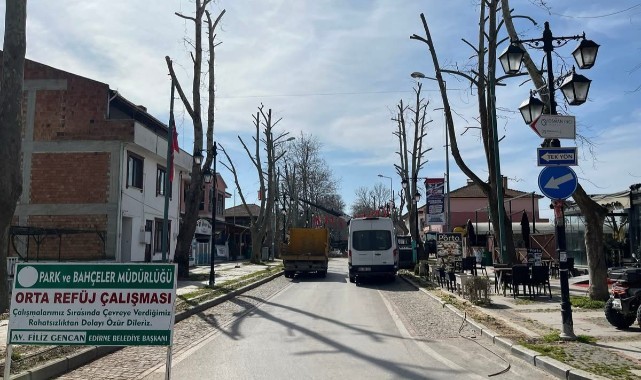 Agâh Korkan’dan budama tepkisi: “Karaağaç’ın çınarları bu şekilde budanmamalı”