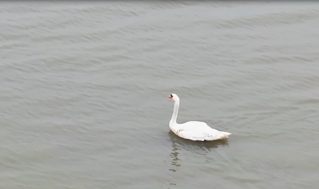 Ankara’dan Edirne’ye uzanan umut yolculuğu