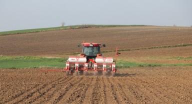 Ayçiçeği tohumları toprakla buluştu