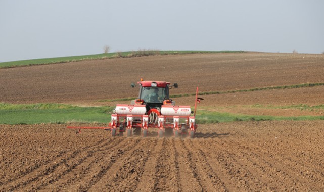 Ayçiçeği tohumları toprakla buluştu