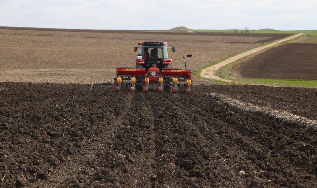Ayçiçeği verimini artıracak proje kapsamında ikinci ekim yapıldı