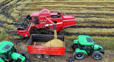 Çeltik komisyonu açıkladı: Başvurular 25 Mart’ta sona erecek