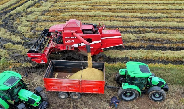 Çeltik komisyonu açıkladı: Başvurular 25 Mart’ta sona erecek