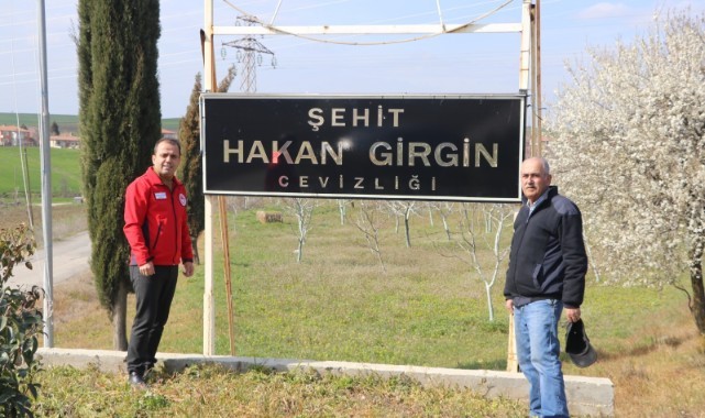 Ceviz üretimi köy ekonomisine katkı sağlayacak