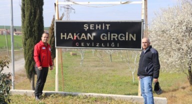 Ceviz üretimi köy ekonomisine katkı sağlayacak