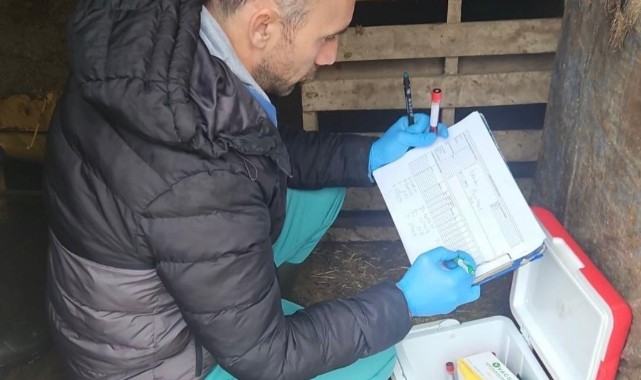 Edirne’de hayvan sağlığı için kritik adım