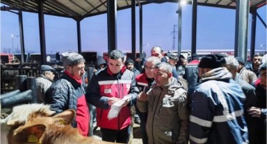 Havsa Hayvan Pazarı’nda sıkı denetim