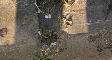 İçme suyu saatlerce boşa aktı