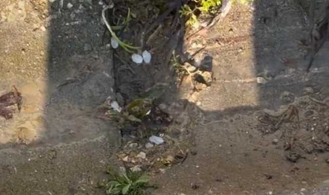 İçme suyu saatlerce boşa aktı