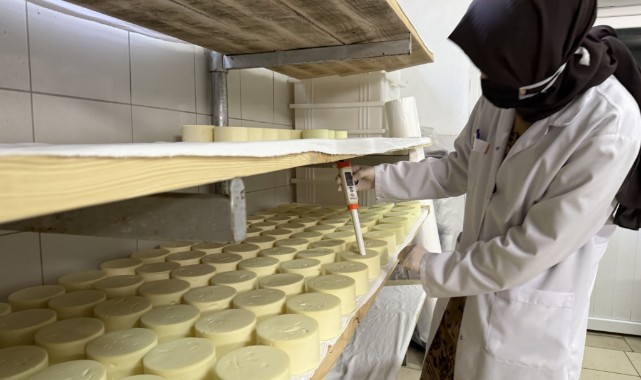 Kadınlar her gün 7 ton sütü lezzete dönüştürüyor